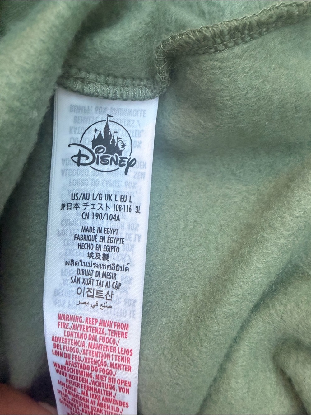 Disney Sage Green Pullover Hoodie with Black Disneyland Script - Picture 6 of 6
